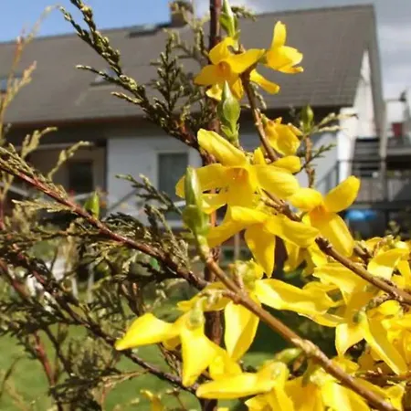 Gaestewohnung Wasa Apartment