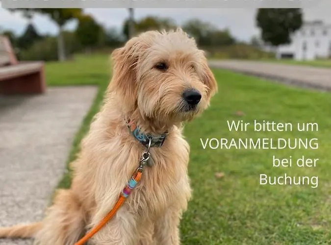 Gaestewohnung Wasa Hamm (North Rhine-Westphalia)