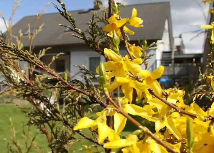 Gaestewohnung Wasa Appartement